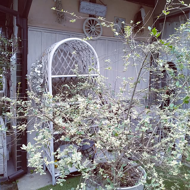 keikoさんの実例写真