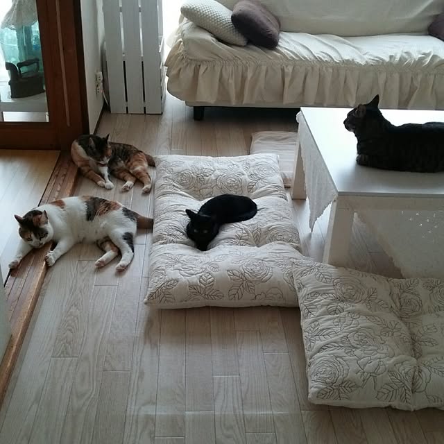 taleo07さんの実例写真