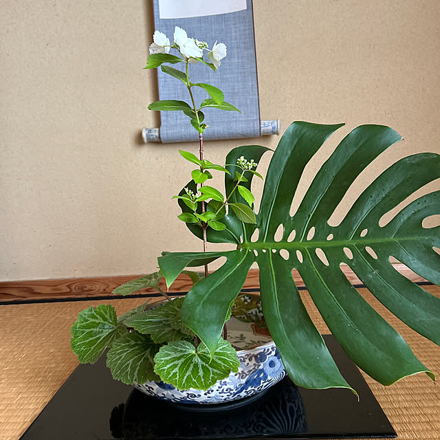 mozukuさんの実例写真