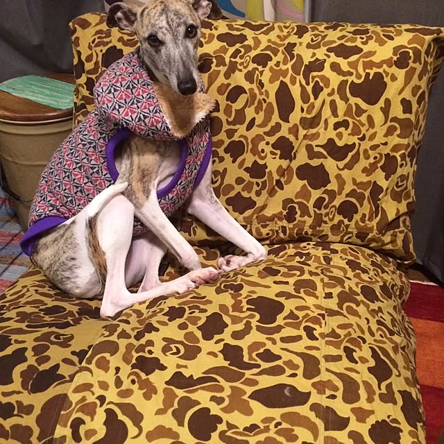 namioさんの実例写真