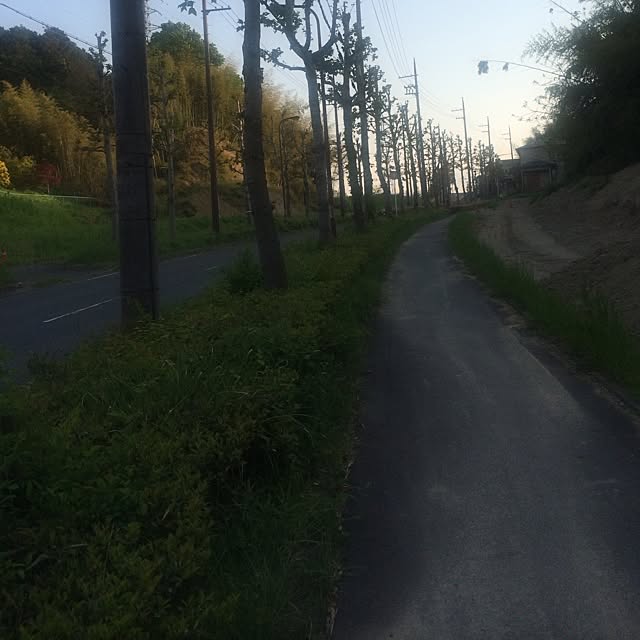 miyannさんの実例写真