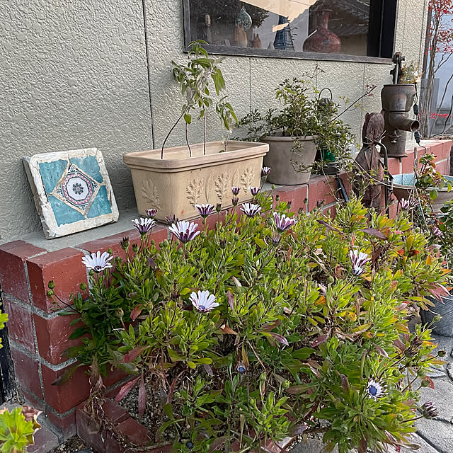 shin0719さんの実例写真