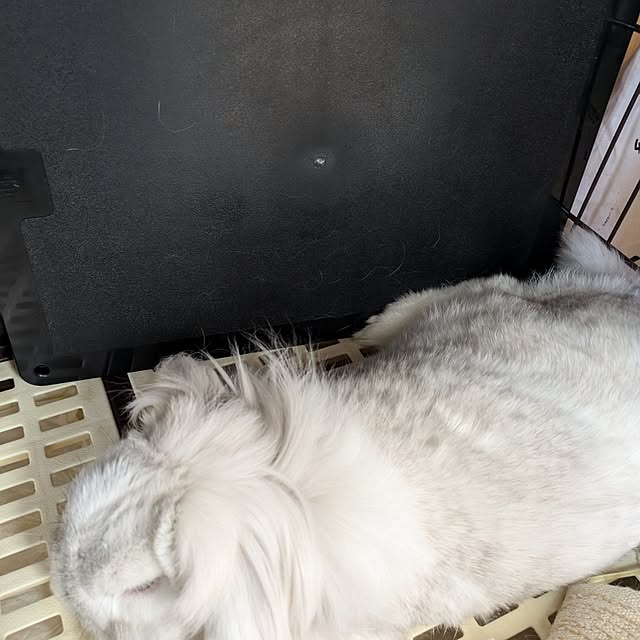 ciiiさんの実例写真