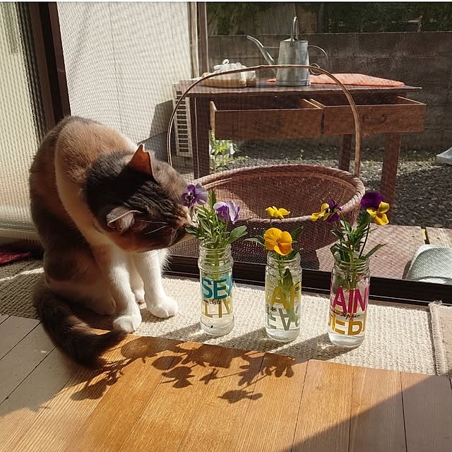 fukuさんの部屋