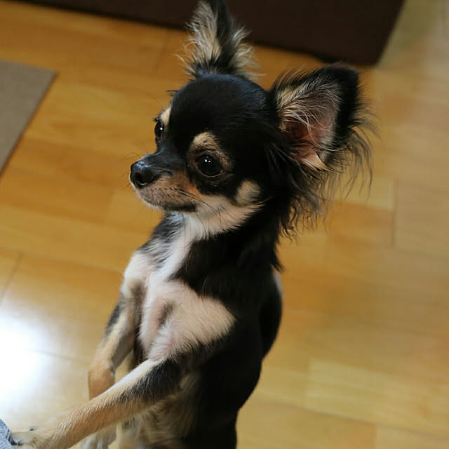 Chinatsu.Iさんの実例写真