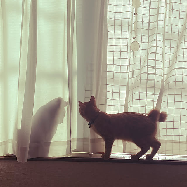 ayuchiさんの実例写真