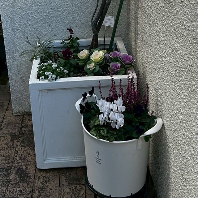 yu-chanさんの実例写真