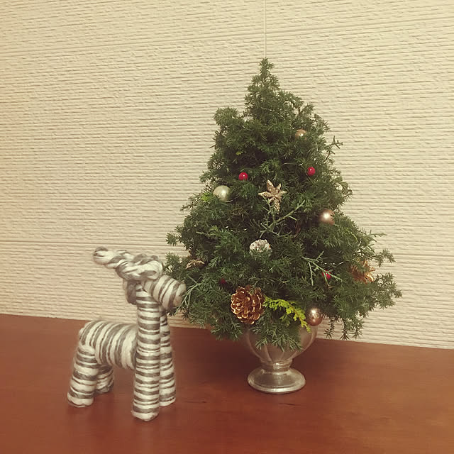 rumirumiさんの実例写真