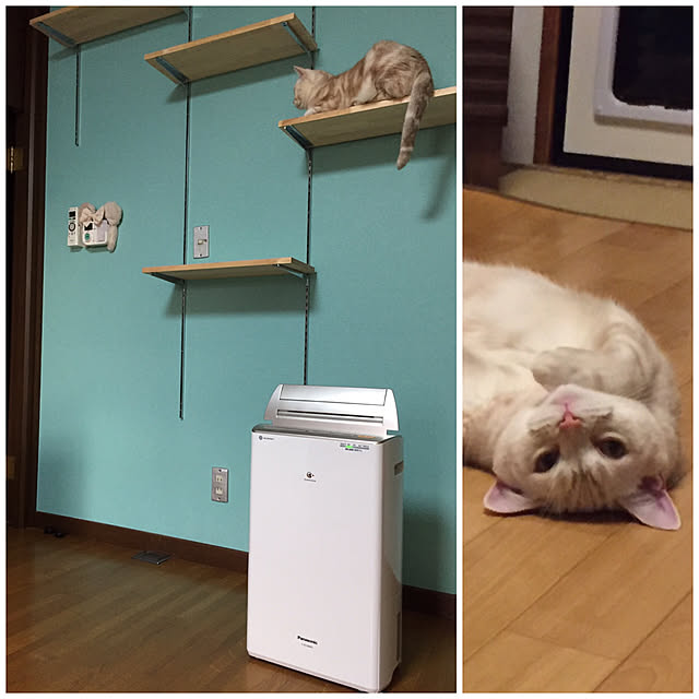 sirasu.nさんの実例写真