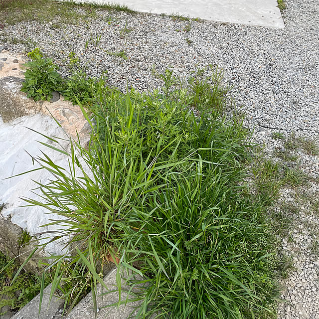 seiさんの部屋