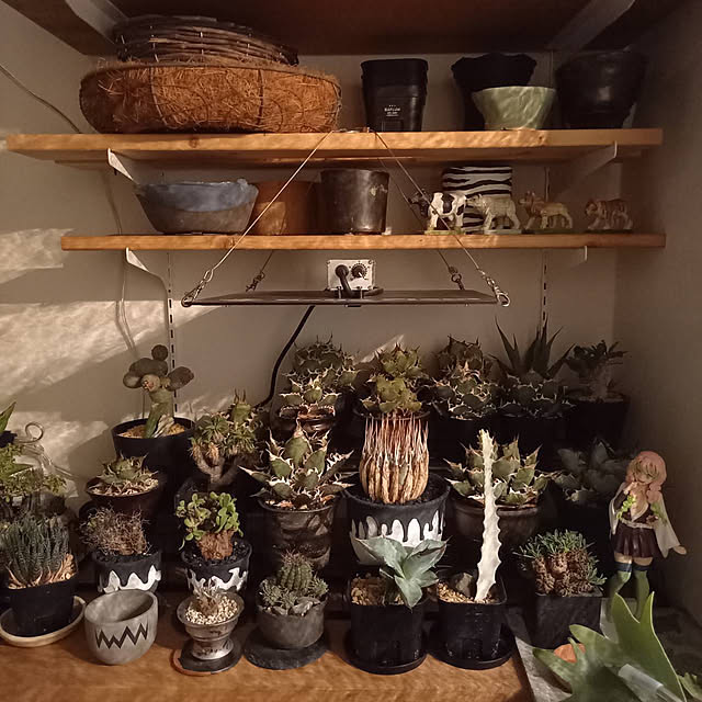 Rさんの部屋