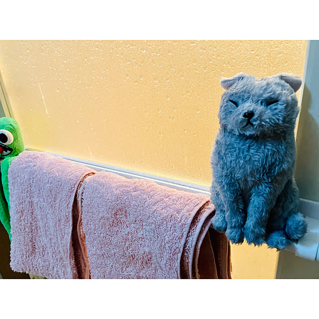 Sympaさんの実例写真