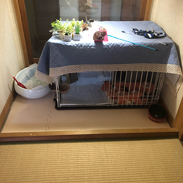 himetanさんの実例写真