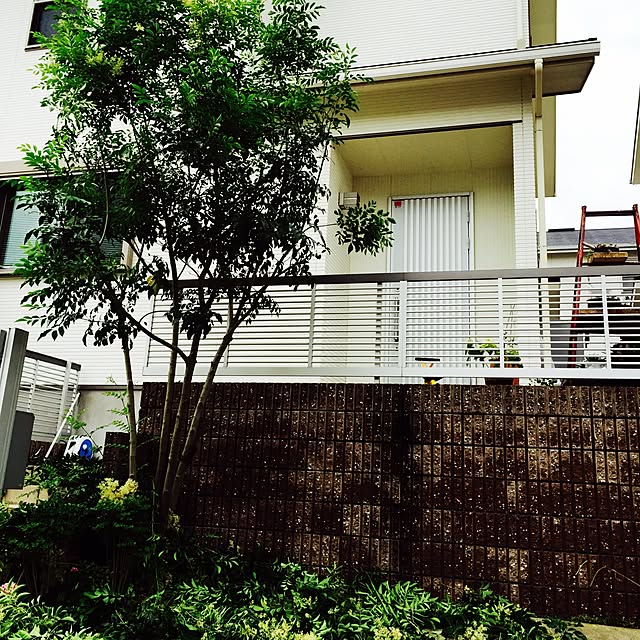 marley0209さんの実例写真