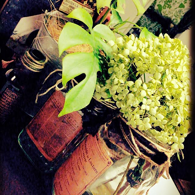 Rans_andy.さんの実例写真