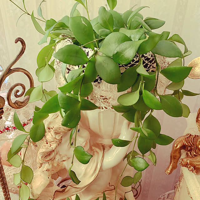 AYUKOさんの実例写真