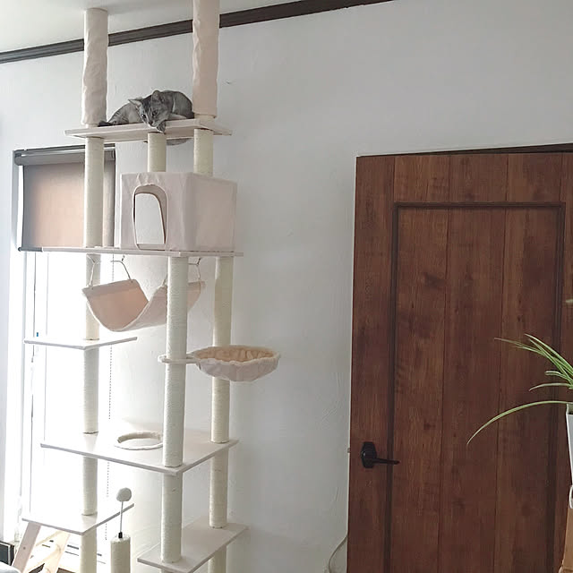 kotoriさんの実例写真