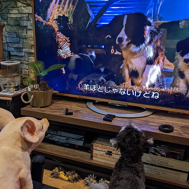 GINさんの部屋