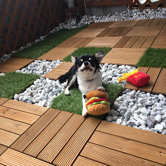 nさんの実例写真