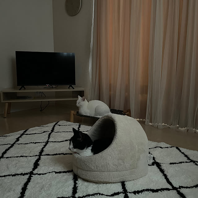 ruruさんの部屋