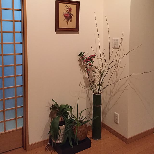 tsuyopipさんの実例写真