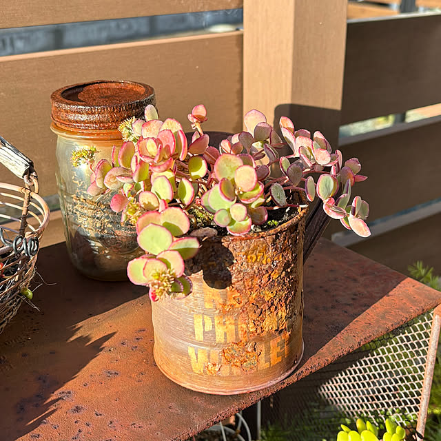 yukkoさんの部屋