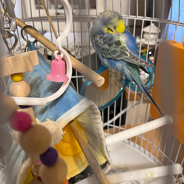 Atsukoさんの部屋