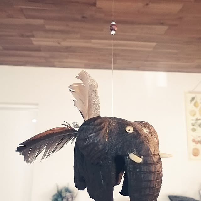 kkkさんの部屋