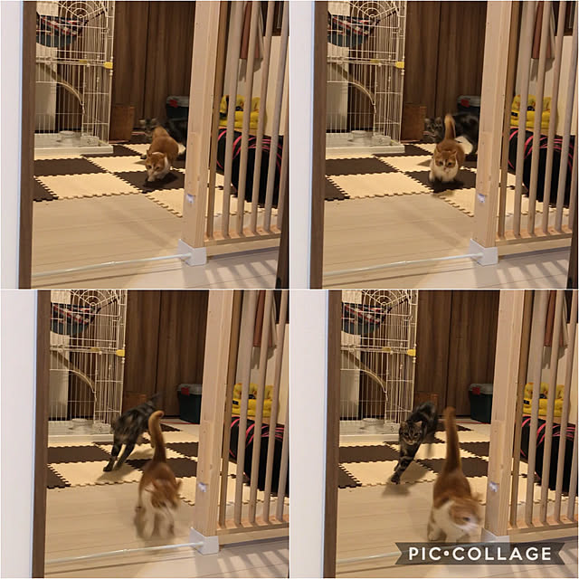 KotarouKunさんの実例写真