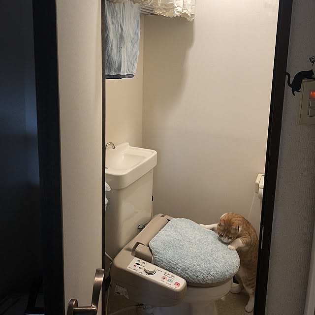 mitoraさんの実例写真