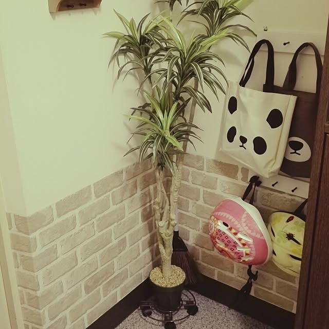 cocoさんの実例写真