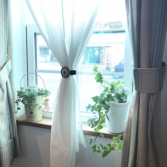 OldTreeさんの実例写真