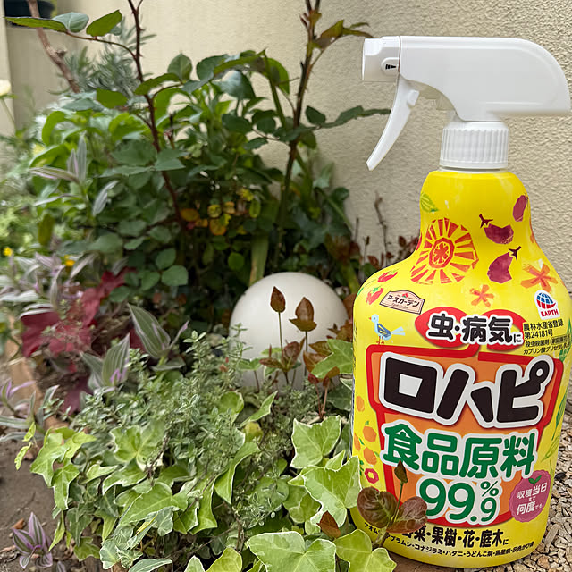 ma...さんの実例写真