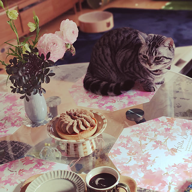 hiro3さんの実例写真