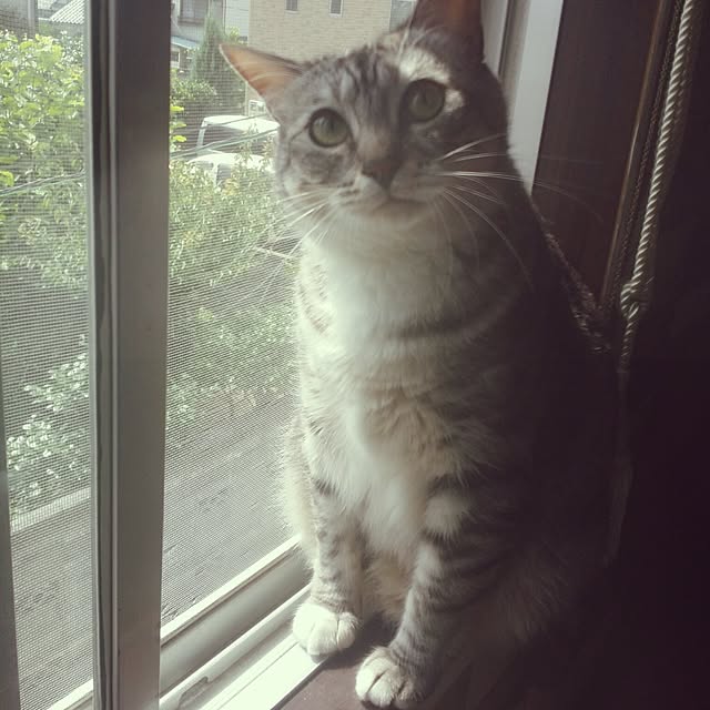 annさんの実例写真