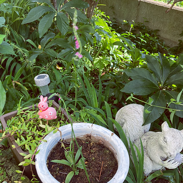 CoCo0617さんの部屋