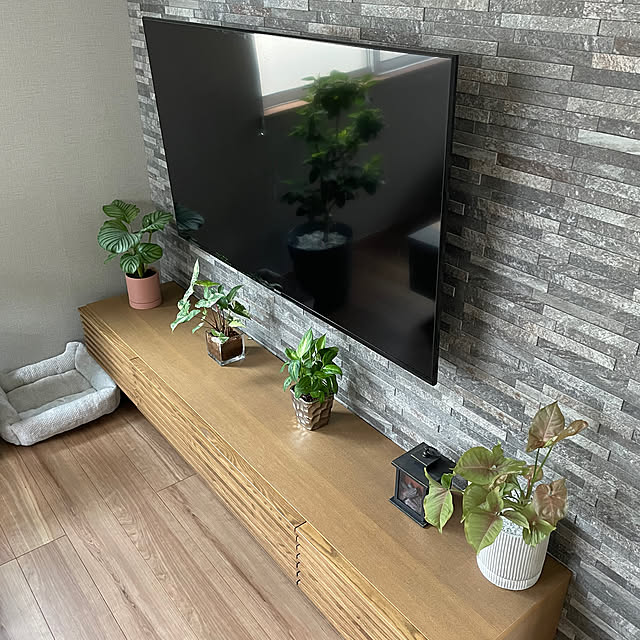 ikuzakさんの部屋
