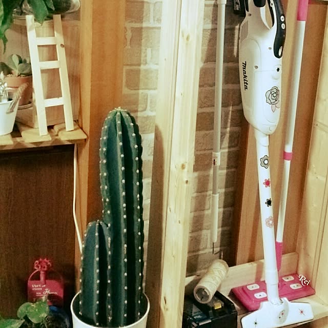 Reiさんの実例写真