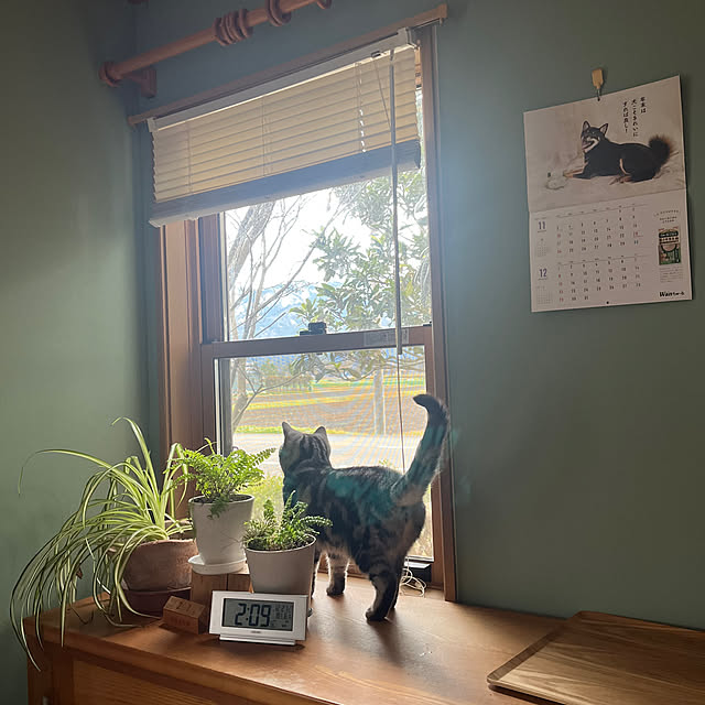 Kintaroさんの部屋