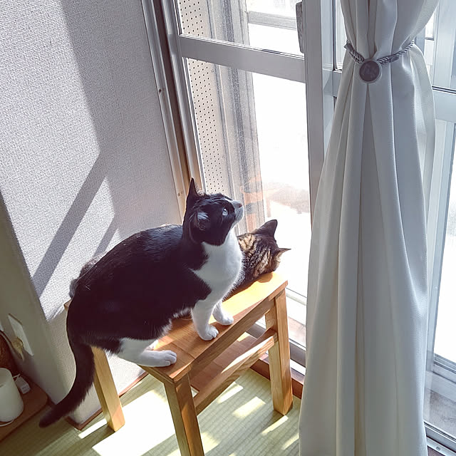 hihaさんの実例写真