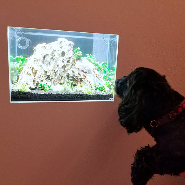 shimaaadsさんの実例写真
