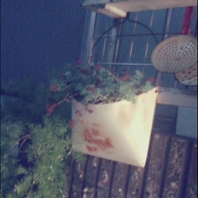 shienaさんの実例写真