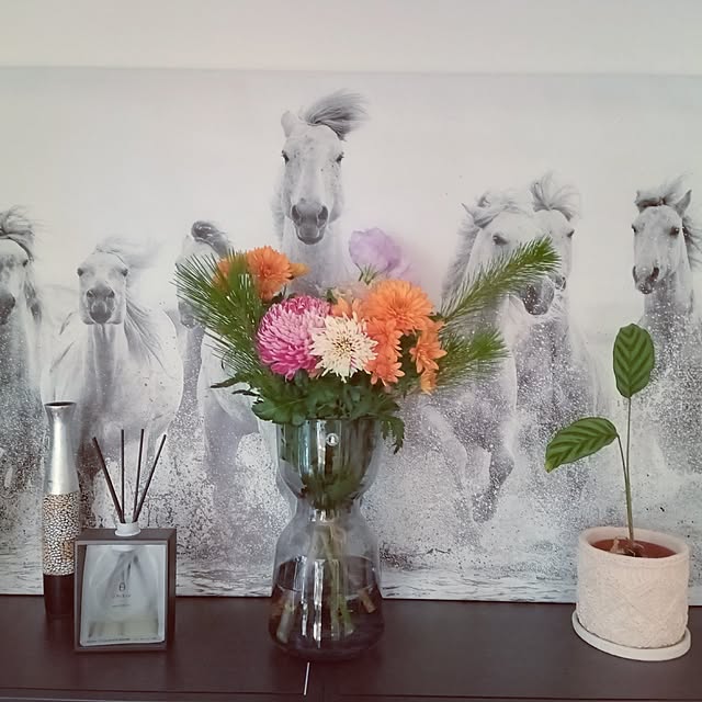 sachiy028さんの部屋