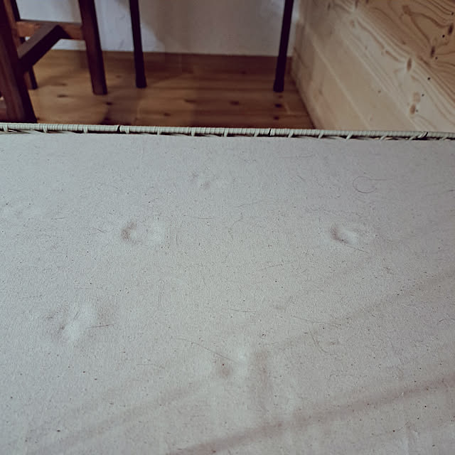 ayaさんの実例写真