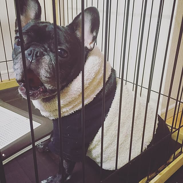 pinokoさんの実例写真