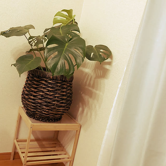 smtさんの実例写真