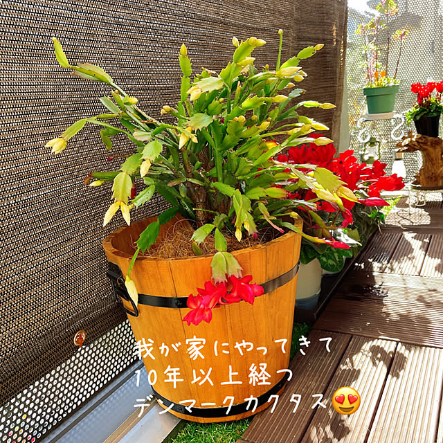 miyuさんの部屋
