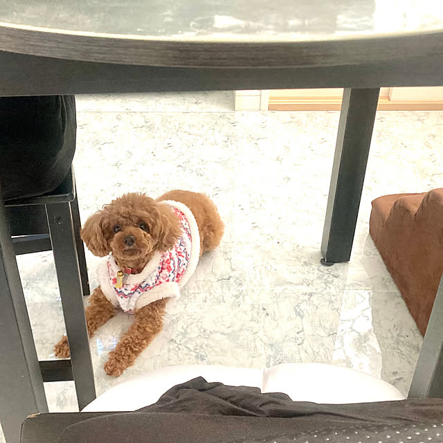 MOMOMAMAさんの実例写真