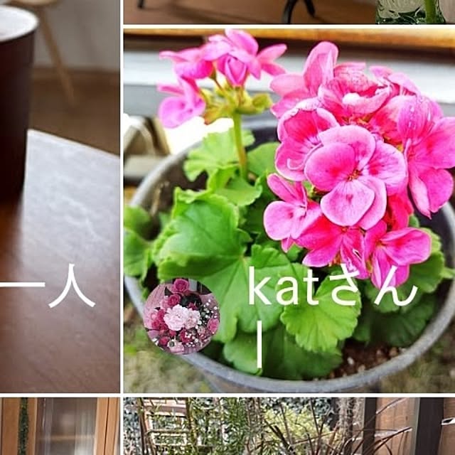 katさんの部屋