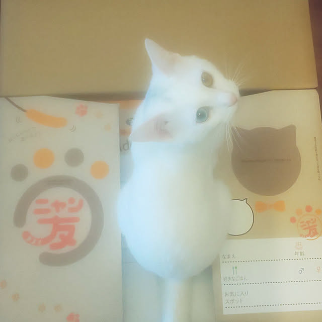 necoさんの実例写真